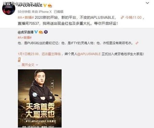 大飞哥鉴宝爆料视频,古董珍品背后的故事与价值